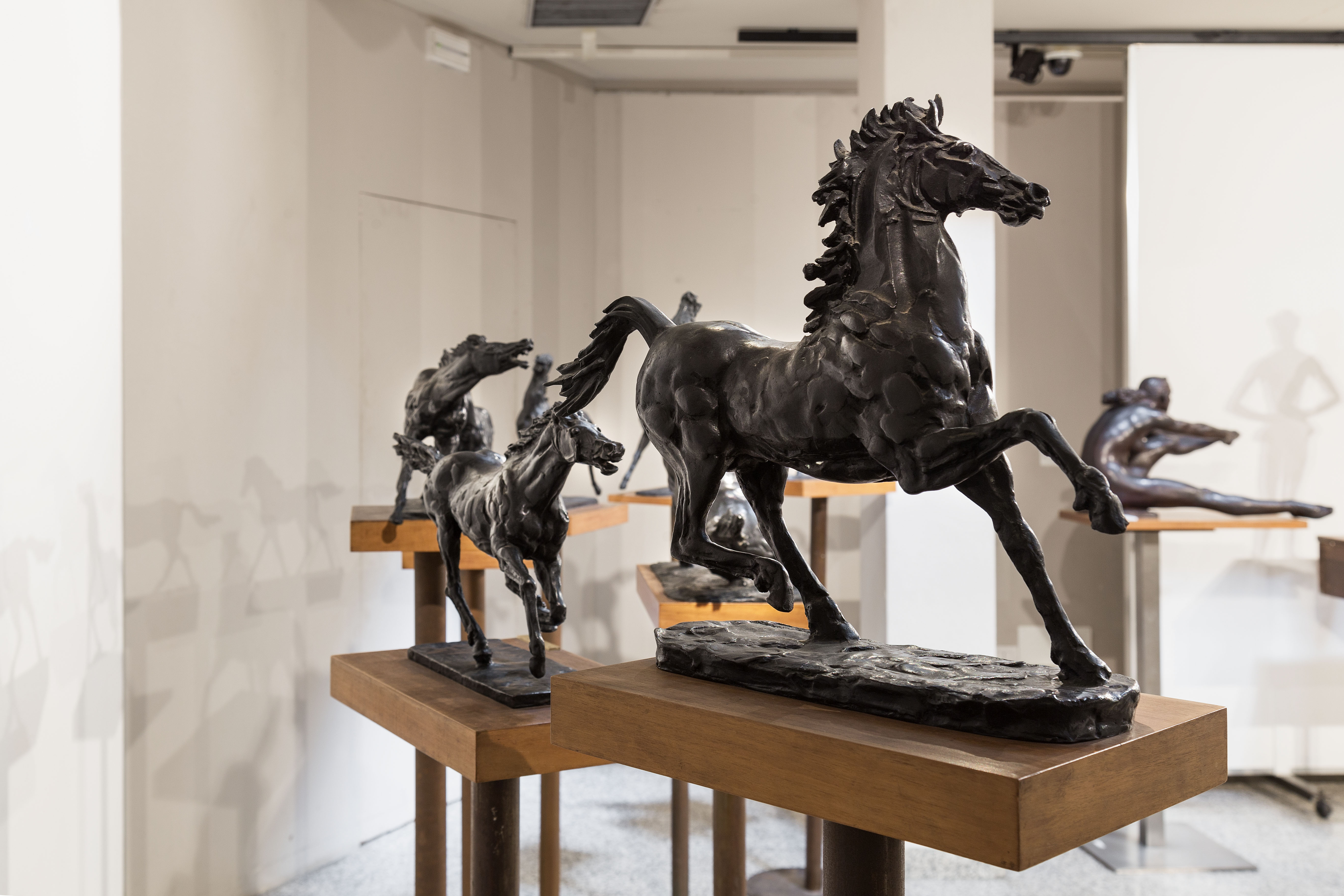 I temi di Francesco Messina: i cavalli