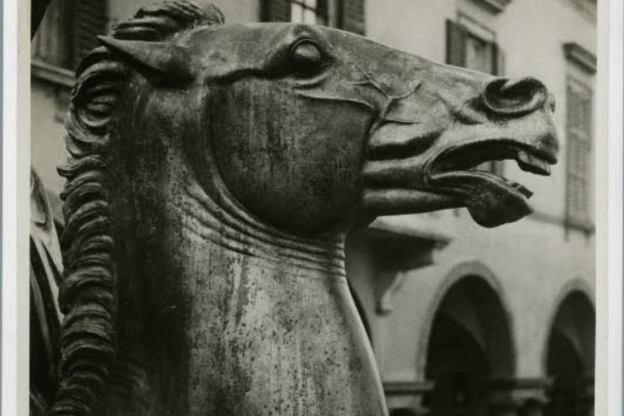 Vai alla pagina I temi di Francesco Messina