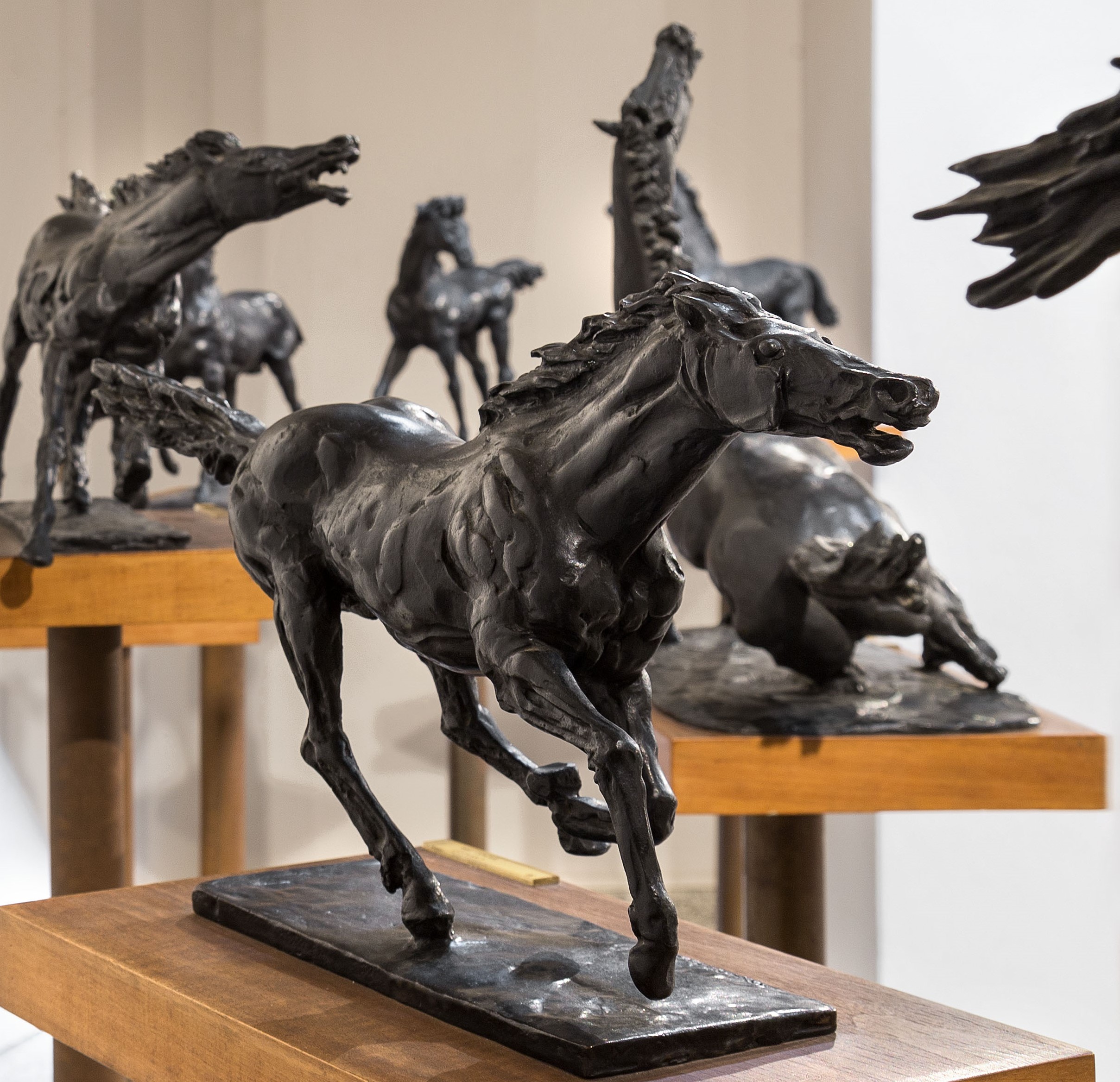 Vai alla pagina I temi di Francesco Messina